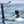 Wake Foil Board